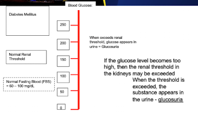 <p>Glucose appears in urine when blood glucose exceeds the <strong>renal threshold (180-200 mg/dL).</strong></p>