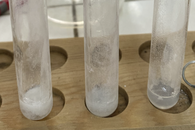 <p>What is the protein present in the test tubes?</p>