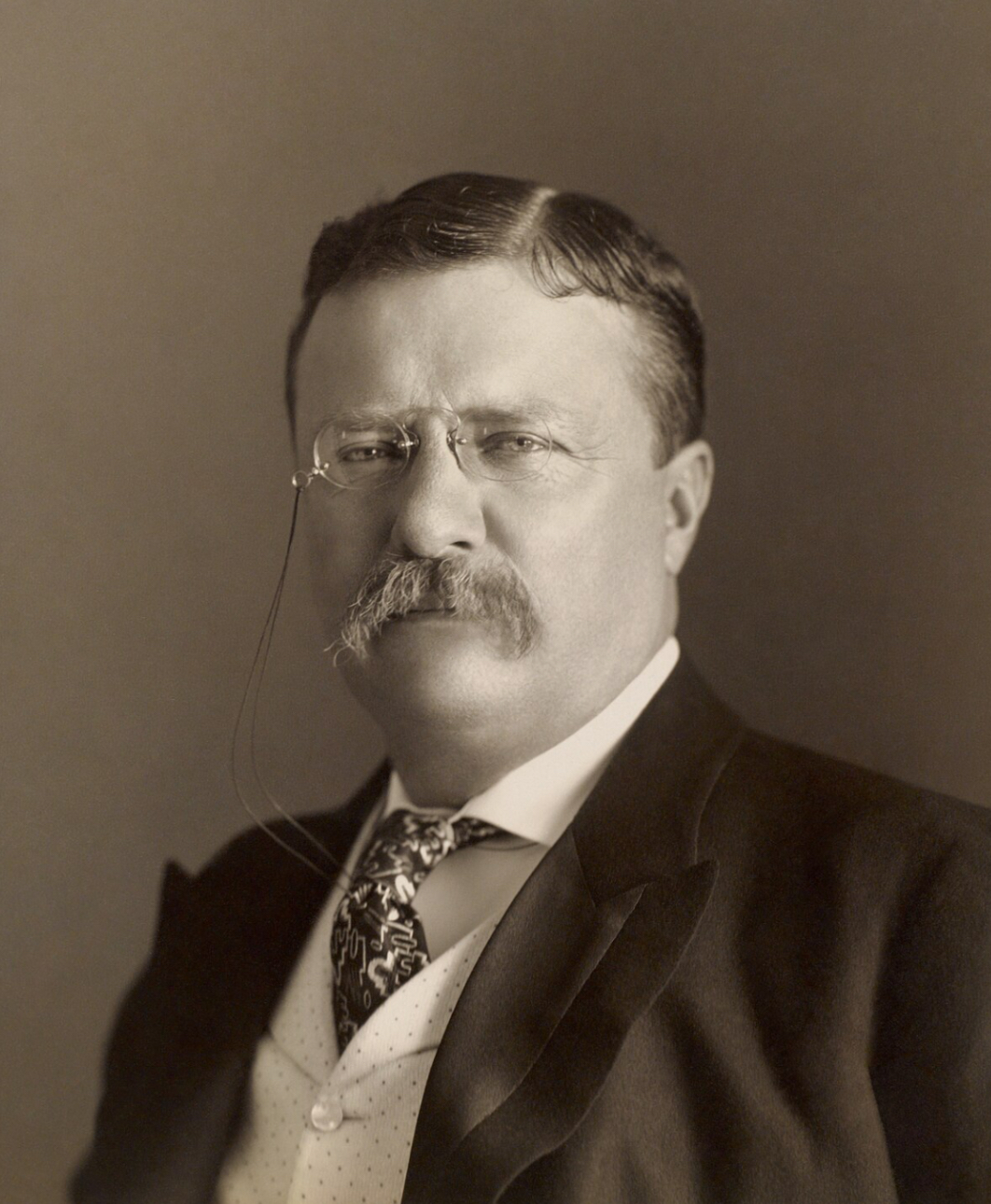 <p>26th President</p>