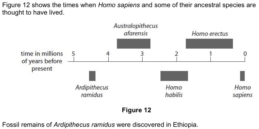 <p>Calculate the number of years <em>Ardipithecus ramidus</em> is thought to have inhabited the Earth.</p>
