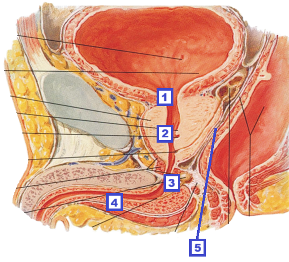<p>1</p>