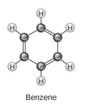 <p>An important hydrocarbon ring used in some amino acids, cholesterol and its derivatives is called ________.</p>