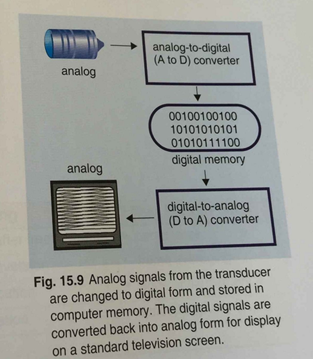 <p>analog; digital</p>