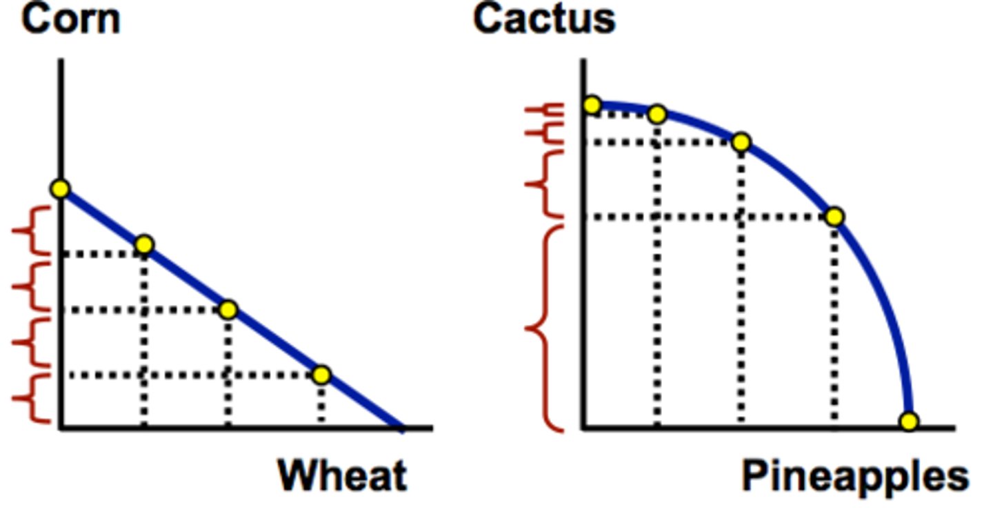 <p>Constant costs imply that all resources are of equal quality and that they are all equally suited to the production of both commodities. Increasing opportunity costs mean that for each additional unit of G produced, ever-increasing amounts of D must be given up.</p>
