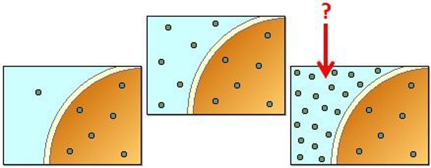 <p>when comparing two solutions, the solution with the greater concentration of solutes</p>