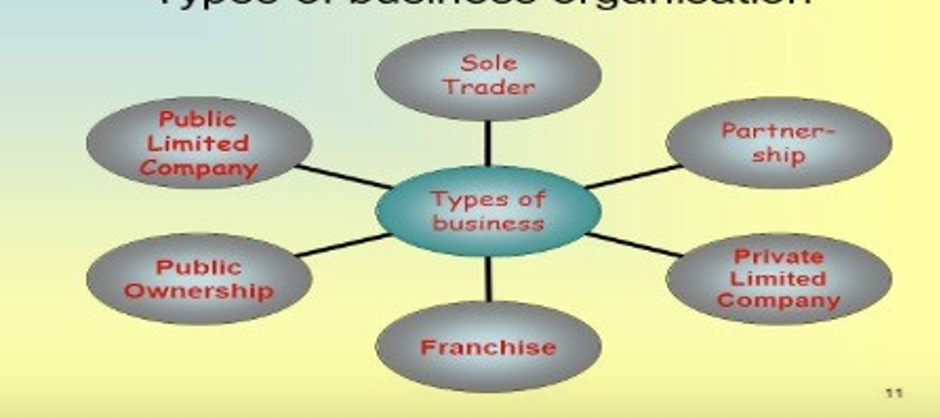 <p>Define sole trader</p>