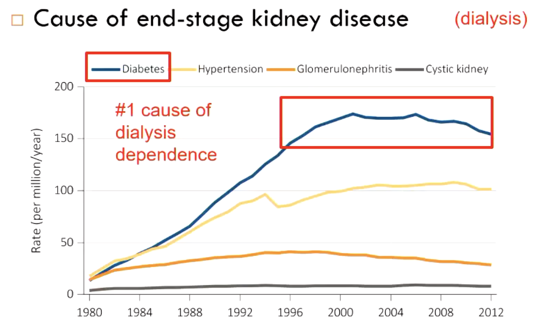 <ul><li><p>diabetes (#1 cause of dialysis dependence)</p></li><li><p>hypertension</p></li><li><p>glomerulonephritis</p></li><li><p>cystic kidney</p></li></ul><p></p>