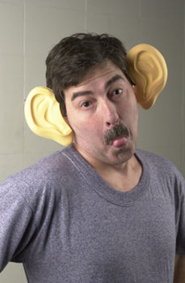 <p>ears</p>