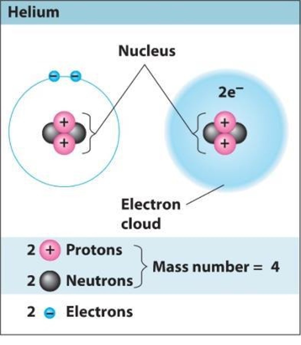 <p>Protons, neutrons, and electrons.</p>