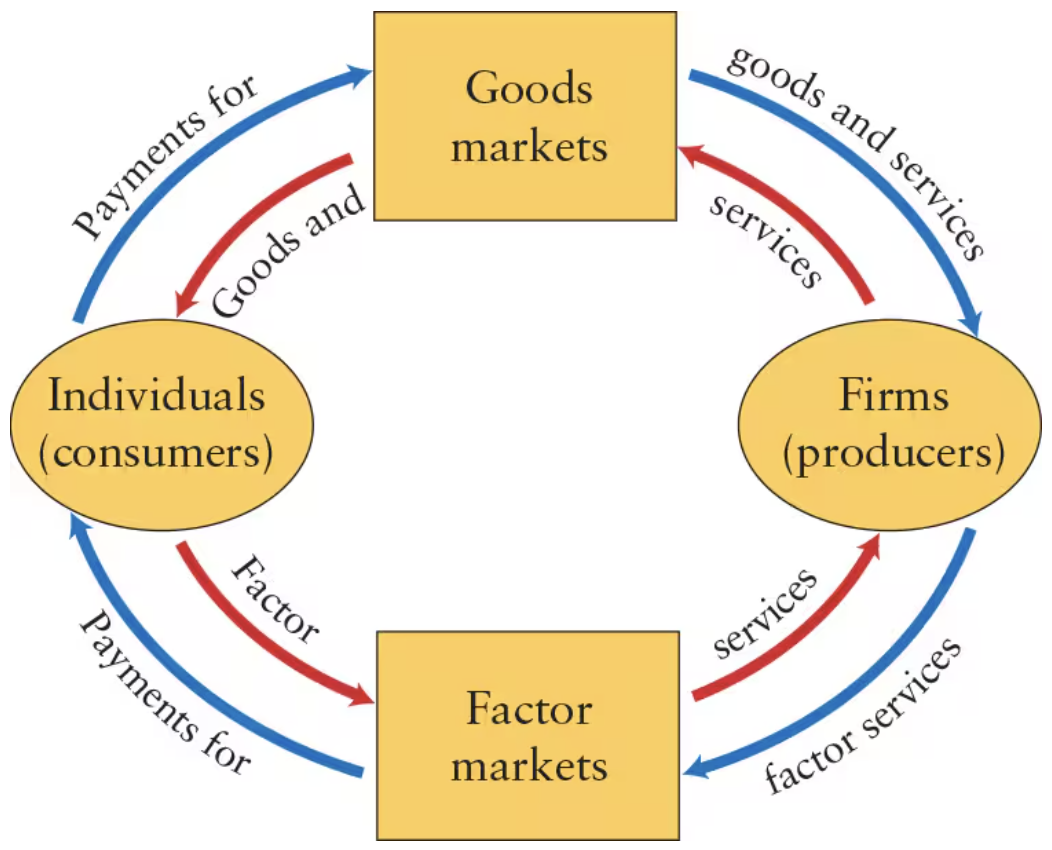 <p>Explain how <strong>consumers earn income</strong>. </p>