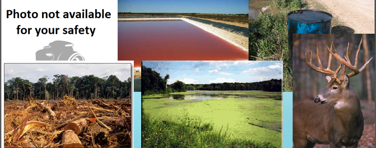 <p>Provide some policy instruments to deal with the following scenarios:</p><ol><li><p>Waste in your yard</p></li><li><p>Hazardous retention ponds</p></li><li><p>Sunbathing nude</p></li><li><p>Stream pollution that kills deer</p></li><li><p>Fertilizer in pond/algal blooms</p></li><li><p>Amazon Deforestation</p></li></ol><p></p>