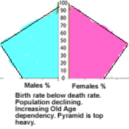 <ul><li><p>(post-industrial): birth rate is lower than death rate</p><ul><li><p>Older population reaches full life expectancy</p></li></ul></li></ul>