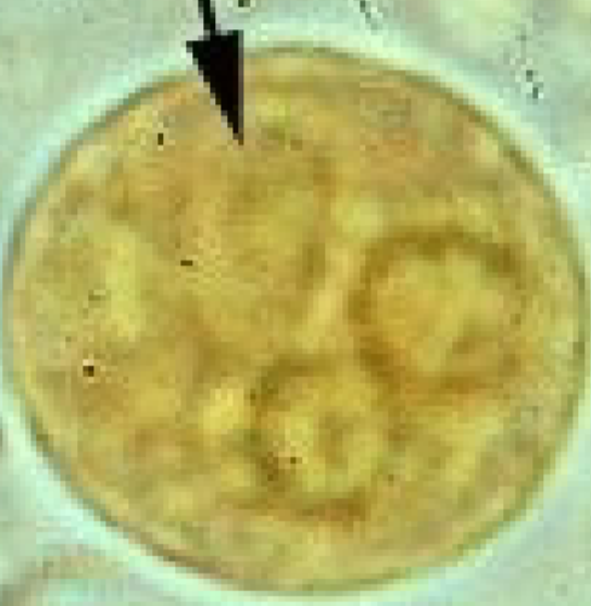 <p></p>