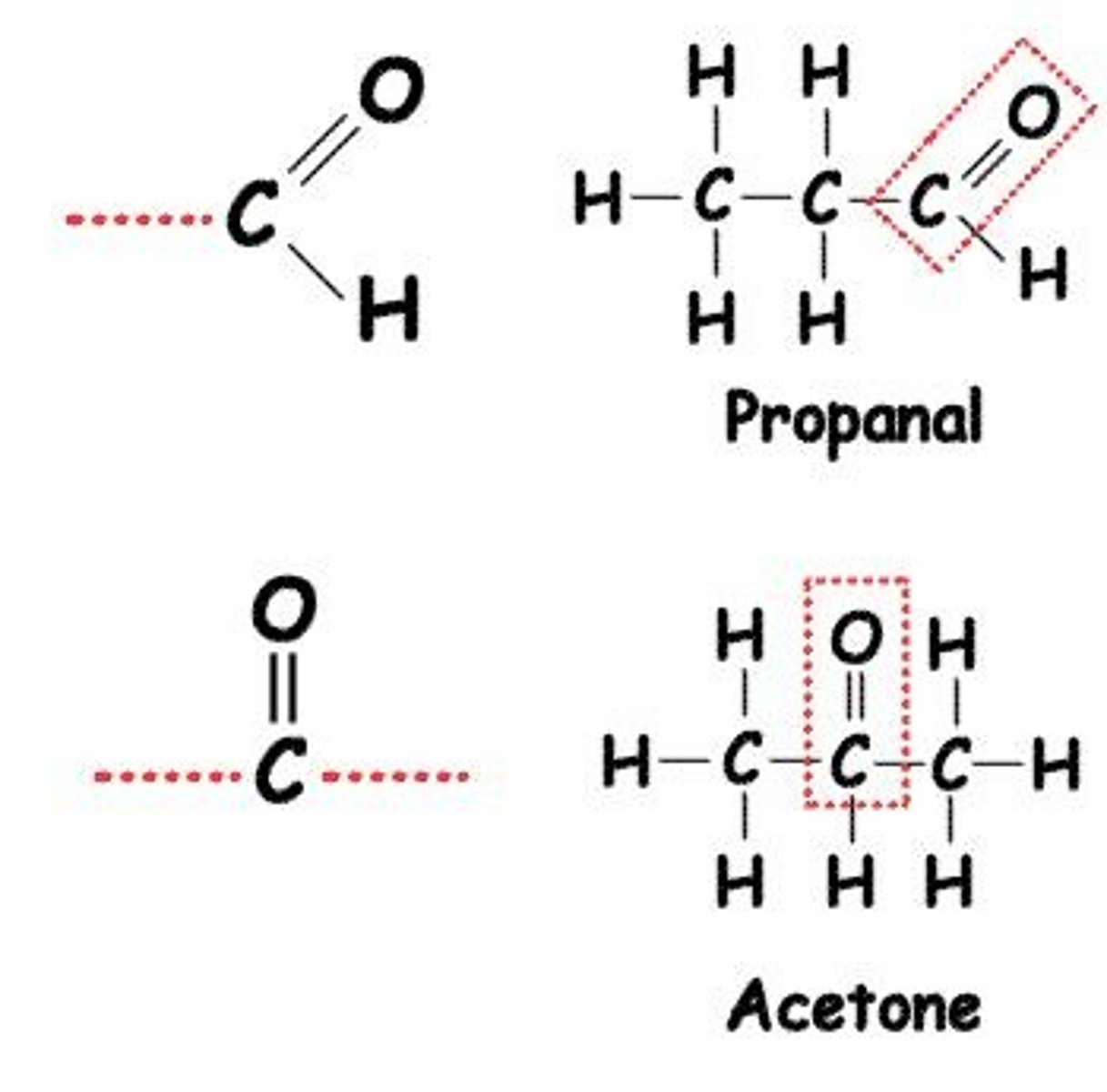 <p>Carbonyl (C=O) groups can be found in aldehydes (at the end of a molecule) or ketones (in the middle).</p>