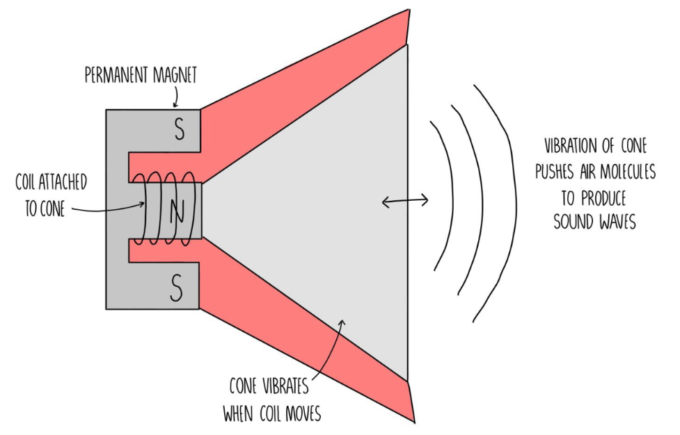 <ul><li><p><span>Current passes around the wire wrapped around a magnet core, causes a force due to the motor effect</span></p></li><li><p><span>The force causes the wire to move + makes a magnetic field</span></p></li><li><p><span>Changing the direction of the current (A.C) causes the force to reverse constantly so the coil vibrates back and forth</span></p></li><li><p><span>This causes the diaphragm / coil to vibrate in and out so sound waves are created</span></p></li><li><p><span>It moves the cone and thats how it works :D</span></p></li><li><p><span>&lt;&lt;Doesn’t work if it’s DC because no vibrations are made&gt;&gt;</span></p></li></ul><p></p>
