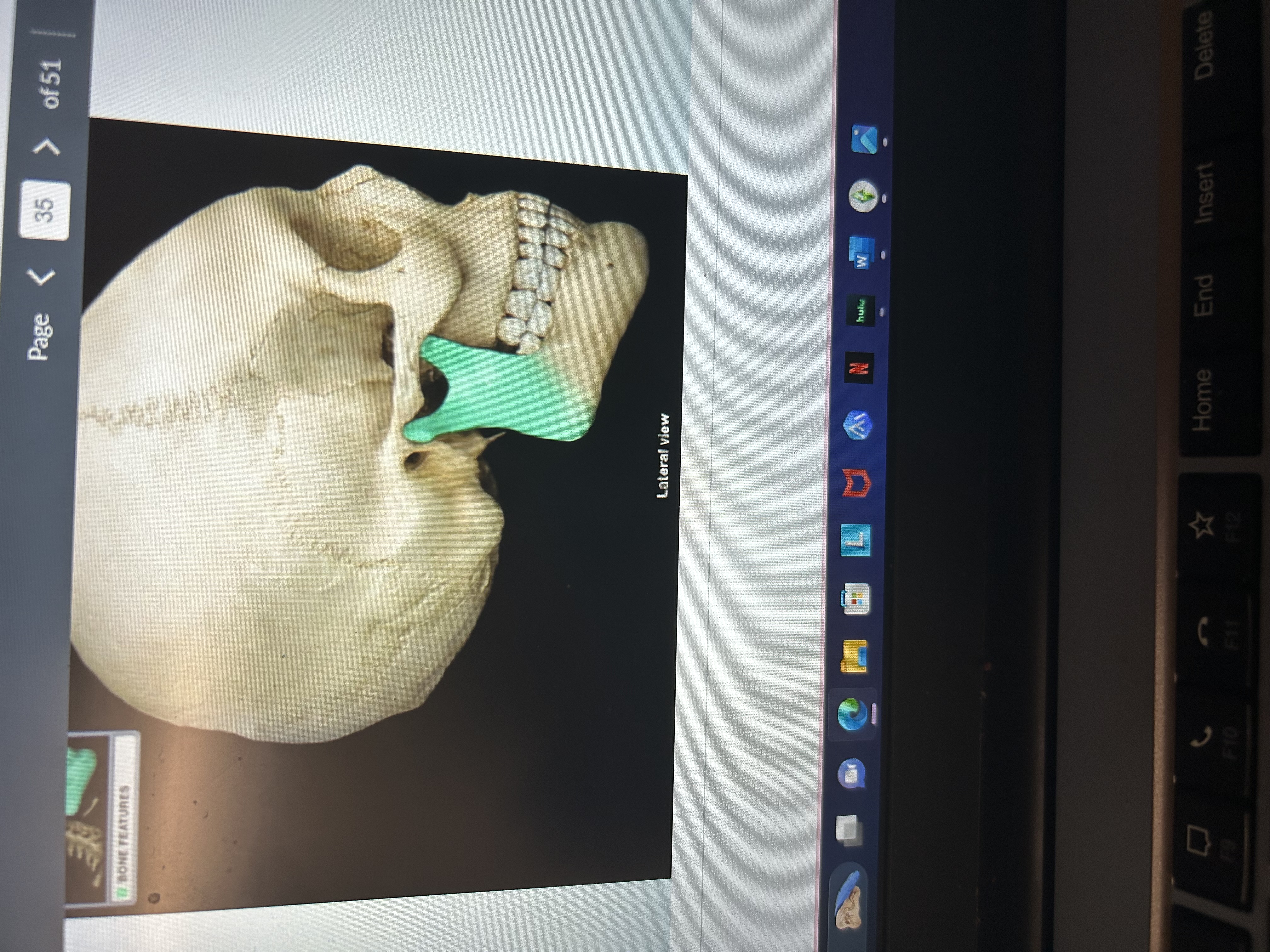 knowt flashcard image