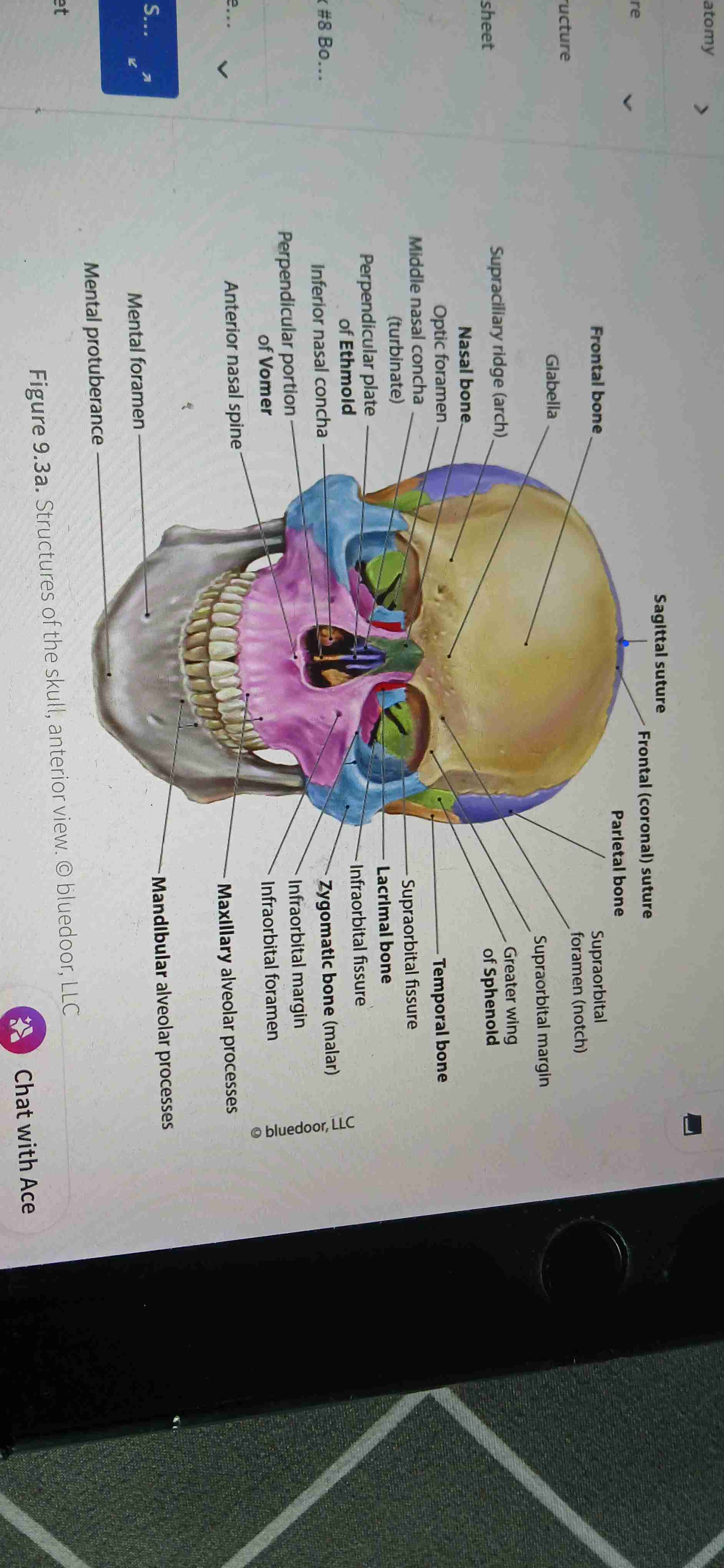 knowt flashcard image