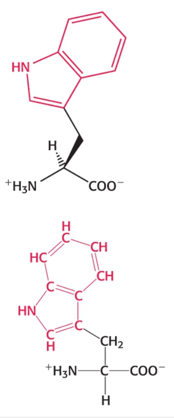 <p>Category: Hydrophobic </p>