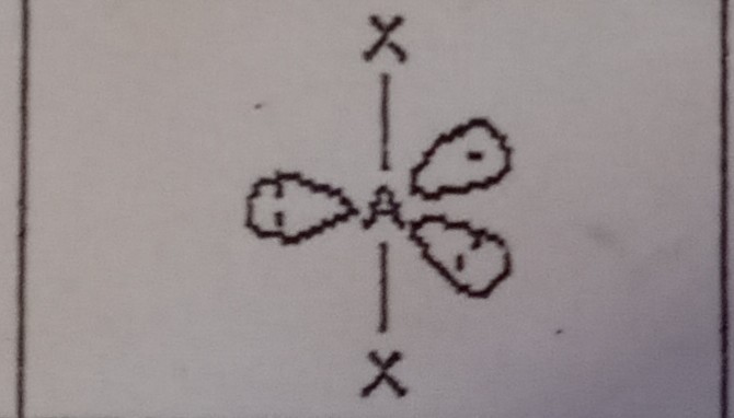 <p>What VSEPR shape has 2 bonding pairs and 3 lone pairs?</p>