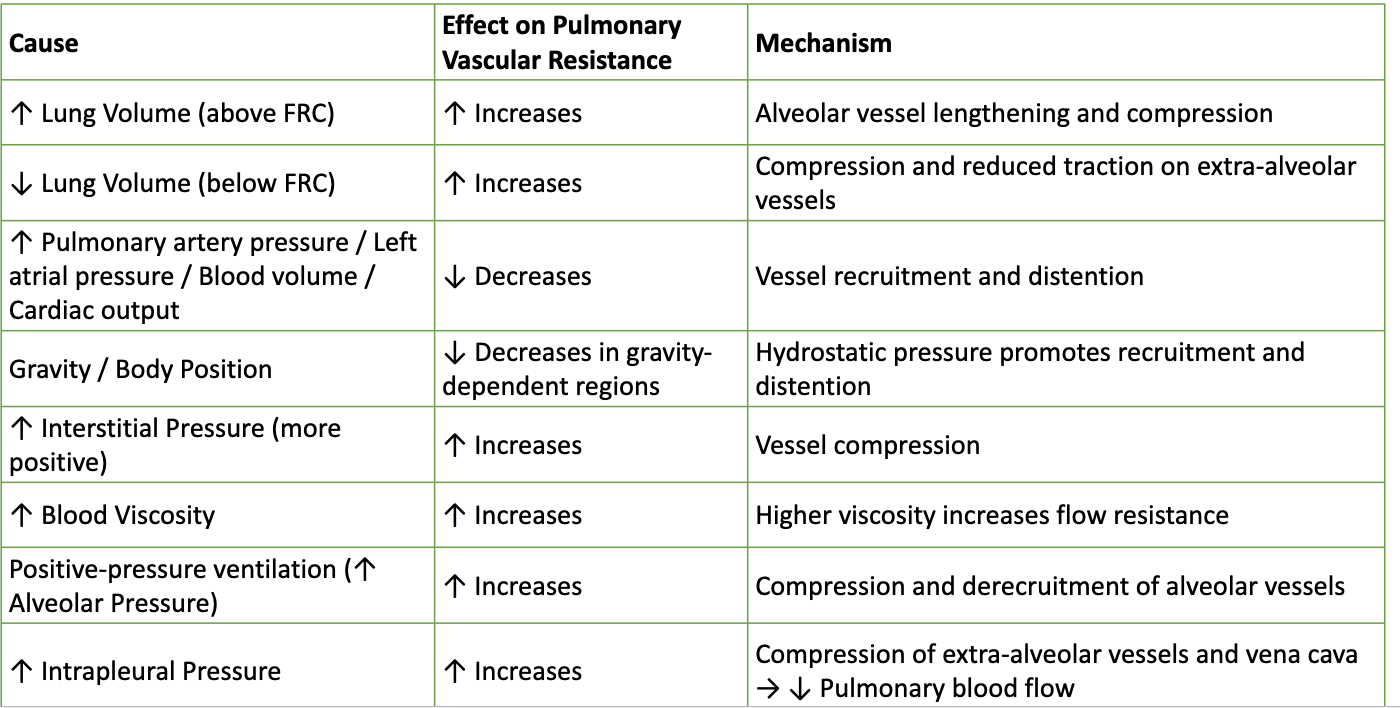 <ul><li><p><span>↑ Lung volume above FRC → ↑ PVR</span></p></li><li><p><span>↓ Lung volume below FRC → ↑ PVR</span></p></li><li><p><span>↑ PA pressure/LA pressure/CO → ↓ PVR (recruitment/distension)</span></p></li><li><p><span>Gravity → ↓ PVR at base</span></p></li><li><p><span>↑ Interstitial pressure, ↑ viscosity, positive pressure ventilation, ↑ intrapleural pressure → ↑ PVR</span></p></li></ul><p></p>