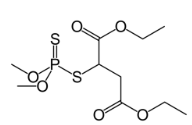 <ul><li><p><span style="background-color: transparent;"><span>Contain phosphorus.</span></span></p></li><li><p><span style="background-color: transparent;"><span>Class of pesticides most toxic to vertebrates (very toxic to humans and animals)</span></span></p></li><li><p><span style="background-color: transparent;"><span>Chemically unstable, non-persistent in environment.</span></span></p></li><li><p><span style="background-color: transparent;"><span>widely used</span></span></p></li><li><p><span style="background-color: transparent;"><span>Ex: Malathion</span></span></p></li></ul><p></p>