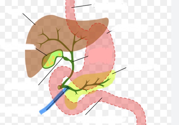 <p>Wat is hier aangeduid</p>