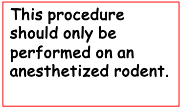<p><span>A microhematocrit tube is placed at the medial canthus.&nbsp; Slight pressure is applied while “rotating” the microhematocrit tube.&nbsp; Blood will fill the tube by capillary action.</span></p><p></p>
