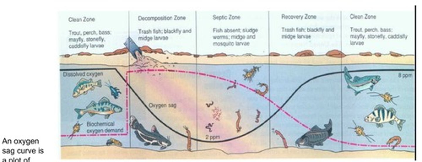 <p>Fertilizer runoff increases algal blooms; decomposition depletes dissolved oxygen, collapsing local fisheries.</p>
