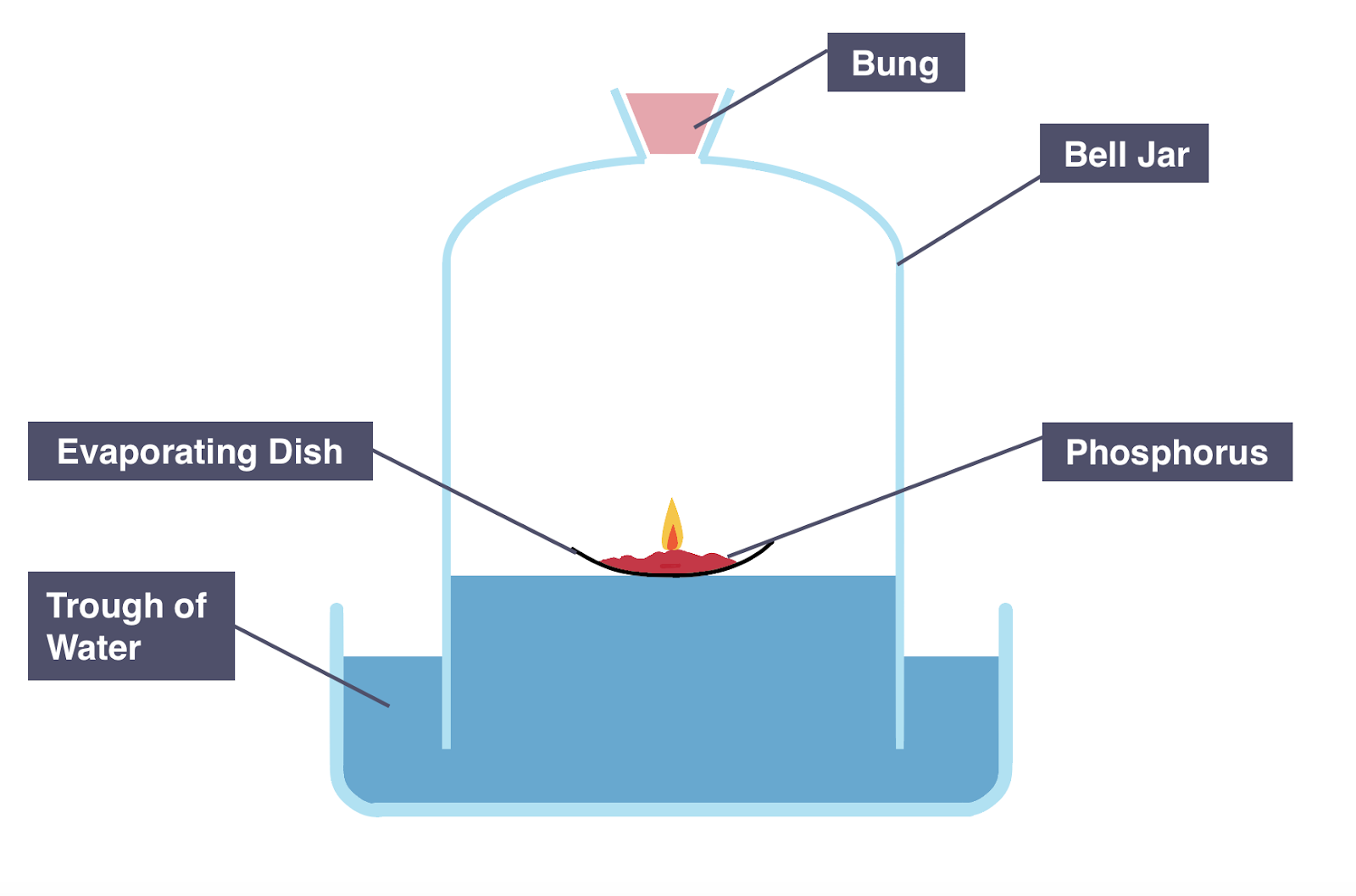 <p><span data-name="warning" data-type="emoji">⚠</span> <strong>use phosphorus!</strong></p><ol><li><p><span>Add phosphorus into an evaporating dish and place it on a trough of Water</span></p></li></ol><ol start="2"><li><p><span>Ignite Phosphorus using a candle</span></p></li><li><p><span>Cover evaporating dish with a bell jar</span></p></li><li><p><span>Measure &amp; note the starting height of the Water level in the bell jar</span></p></li><li><p><span>Leave apparatus for several days</span></p></li><li><p><span>Measure &amp; note the final height of the Water level in the bell jar</span></p></li></ol><p></p>