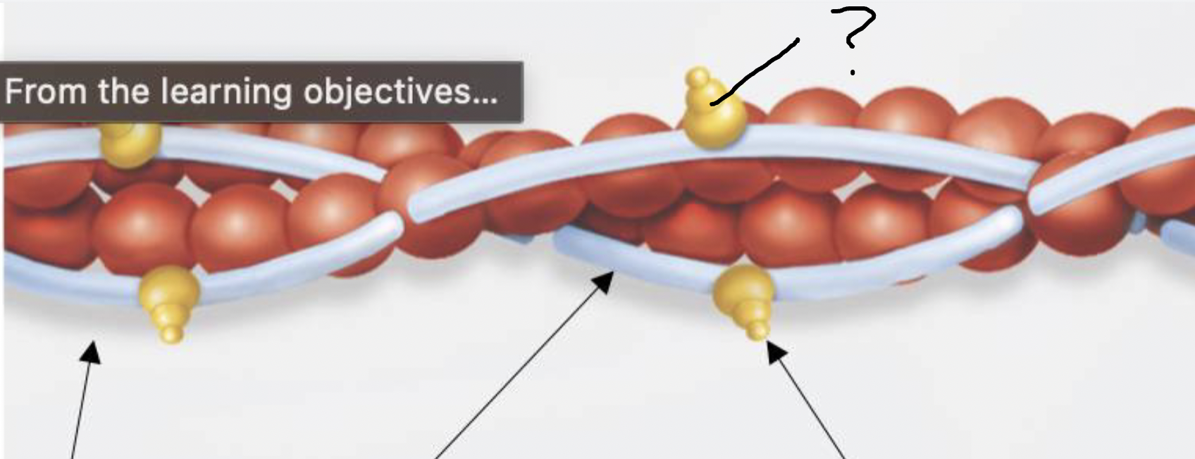 <p>what is this?</p>