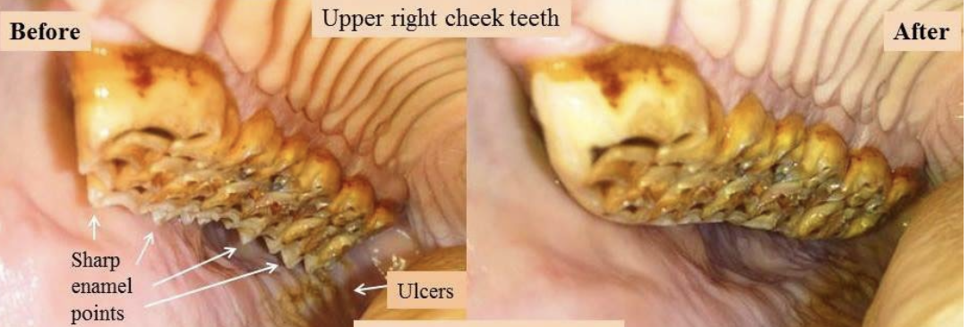 <p>at least once a year</p>