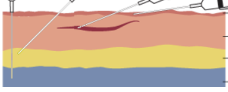 <p>Name each layer</p>