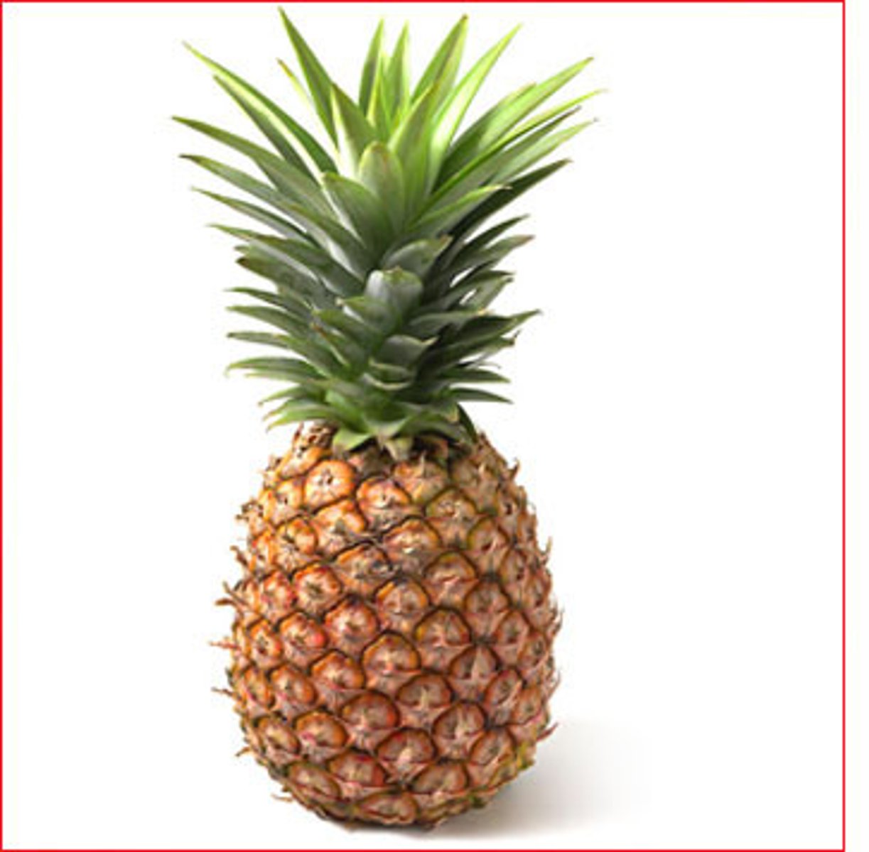 <p>pineapple</p>