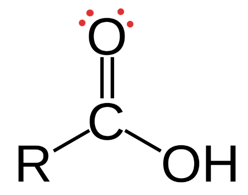 <p>Structural Formula: a carbon atom double-bonded to an oxygen atom and also bonded to a <strong>hydroxyl</strong> group (−COOH).</p><p>Properties: polar, (acts as an acid by donating protons, contributing to acidity in solutions.</p><p>Examples: carboxylic acids (ex. acetic acid (vinegar), citric acid (vitamins), fatty acids)</p>
