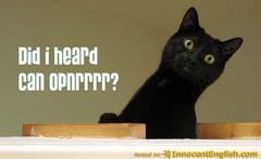 (v.) to draw forth, bring out from some source (such as another person)

Picture: The cranking of the can opener elicited a response from the kitty.

synonyms: call forth, evoke, extract, educe 

antonyms: repress, quash, squelch, stifle