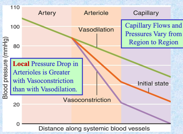 <p>local; vasoconstriction; vasodilation</p>