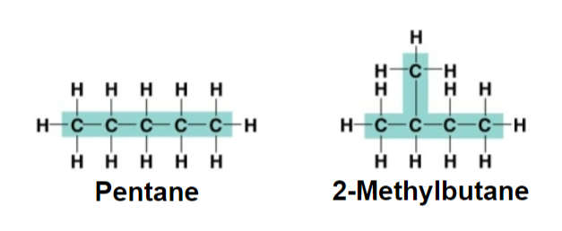<p>structural isomers</p>