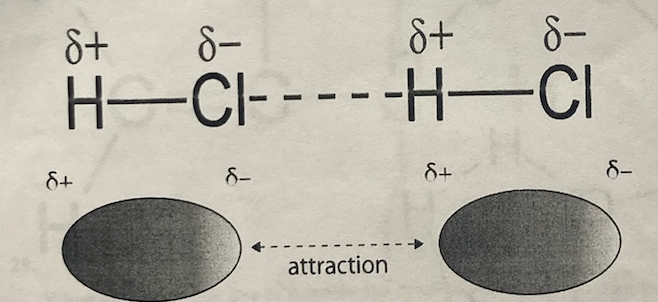 <p>The figure above shows a strong attraction between two HCI molecules. What is the name of this attraction?</p>
