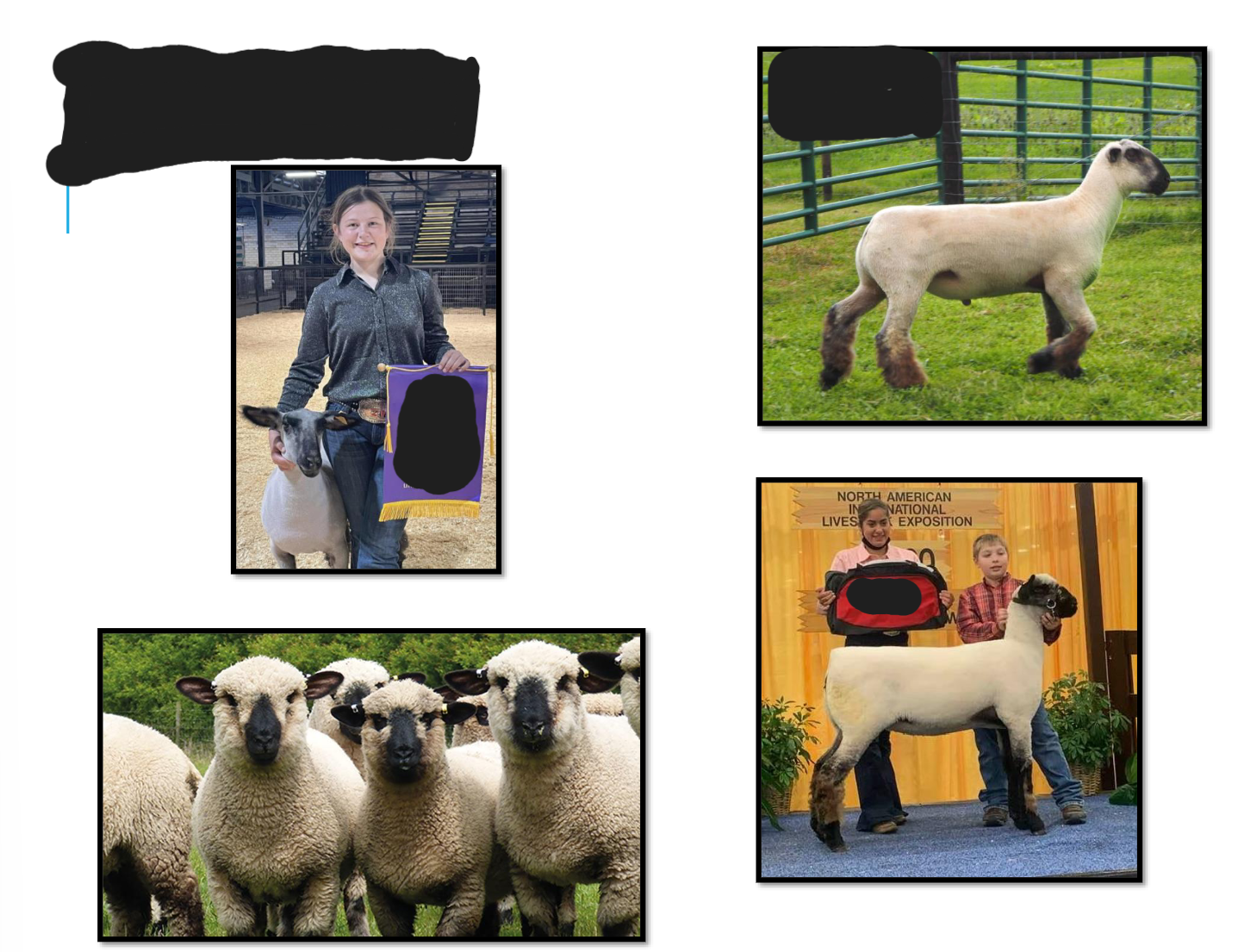 <p>White colored</p><p>Black faces and legs</p><p>Wool-cap on forehead and wool on legs</p>