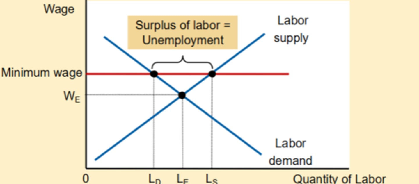 <p>this minimum wage is _______</p>