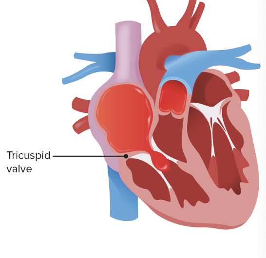 <p>This is?</p>