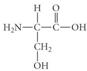 <p>ID this structure</p>