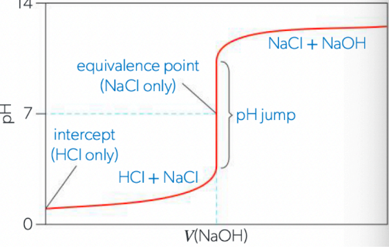 <ol><li><p>strong acid (HCl) will have a low pH (y-intercept at approx. 1)</p></li><li><p>strong base will raise the pH slowly at first (excess acid at first)</p></li><li><p>pH rises sharply at equivalence point to pH of 7 (no hydrolysis)</p></li><li><p>continues to rise quickly after pH 7 (unneutralized NaOH makes solution basic)</p></li></ol><p></p>