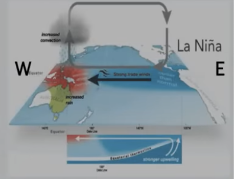 <ul><li><p><span style="color: rgb(238, 240, 255)">Stronger than normal trade winds (W ← ← E)</span></p></li><li><p><span style="color: rgb(238, 240, 255)">Increased upwelling of South Am coast brings cooler than normal conditions (improved fisheries)</span></p></li><li><p><span style="color: rgb(238, 240, 255)">In South E Asia and Australia temp much higher, (increase in monsoons and flooding)</span></p></li><li><p><span style="color: rgb(238, 240, 255)">Worse tornado activity in US and Hurricane in Atlantic Ocean </span></p></li></ul><p></p>