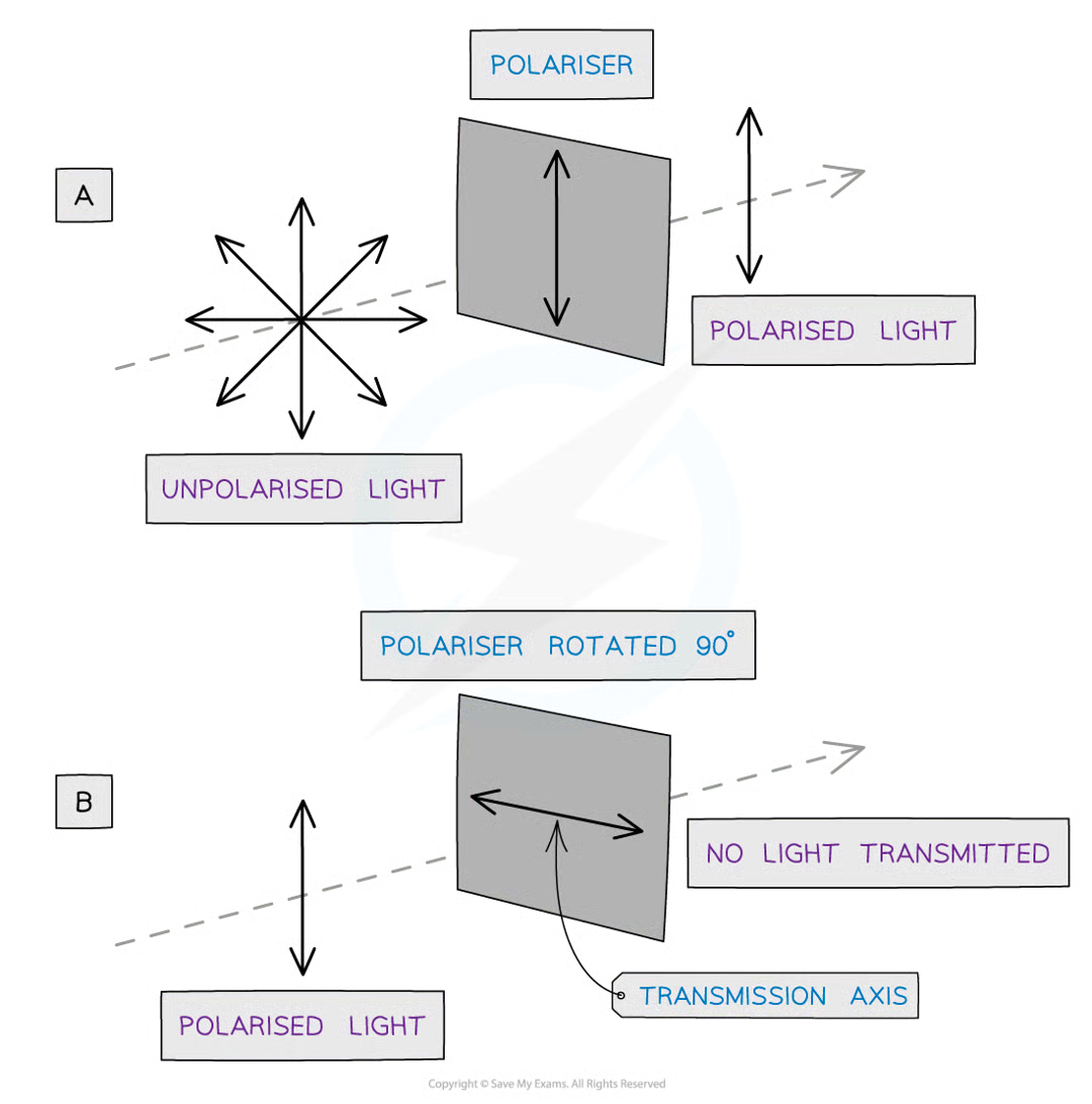 <p>Wave propagation (of transverse waves ONLY) are limited to a singular plane. Only unpolarized waves can be polarised.</p>