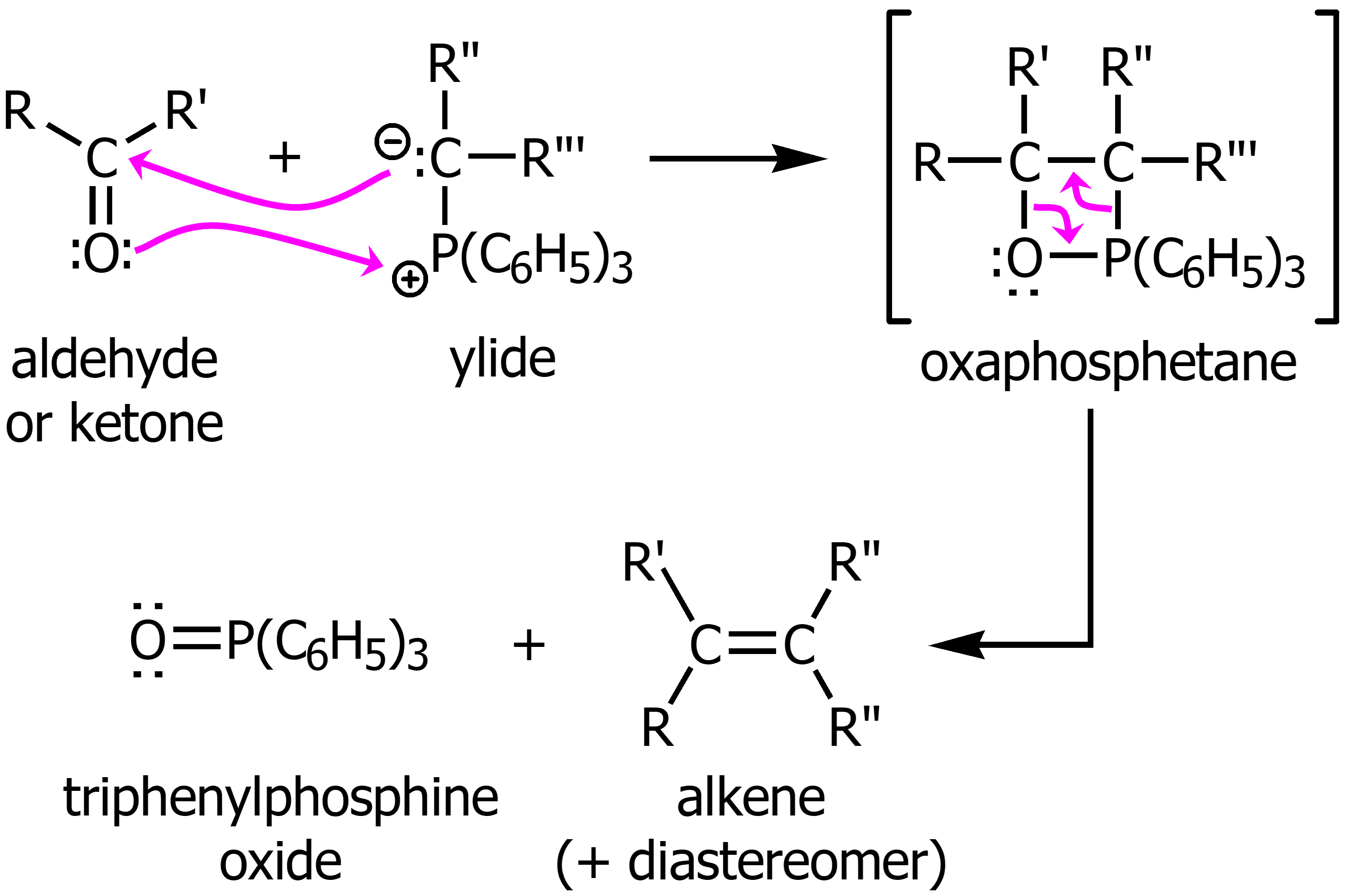 <p>From a ketone or aldehyde using a yilde will result in a new C=C double bond. </p>