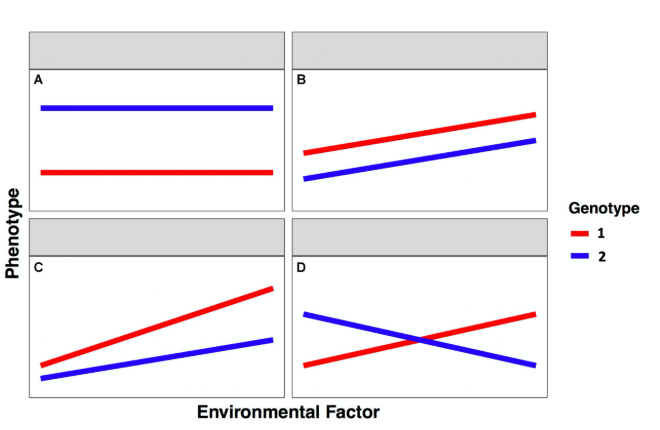 <p>Which graph(s) show ONLY plasticity</p>