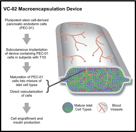 <p>give an example of autologous based therapies </p>