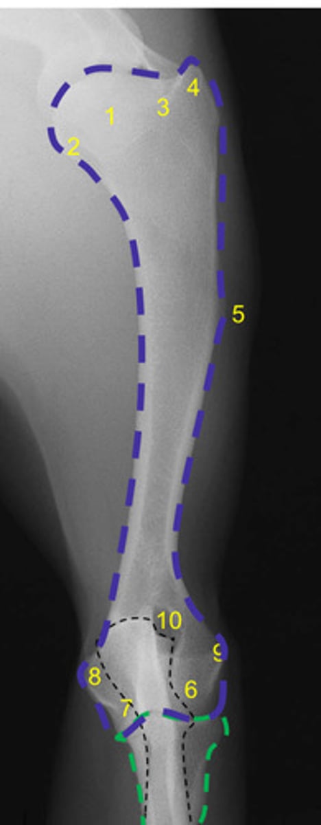 <p>What is number 7?</p>