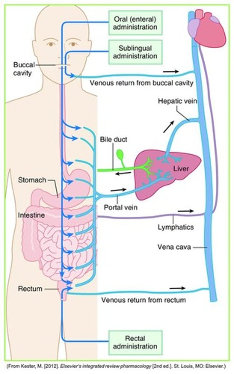 <p>The process of drug movement from the GI tract to the liver via the portal vein.</p>